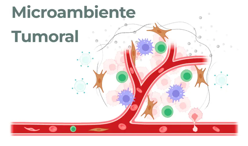 Imagem representativa do microambiente tumoral, onde o tumor se encontra rodeado por vasos sanguíneos, células imunes e fibroblastos (adaptado de BioRender.com).